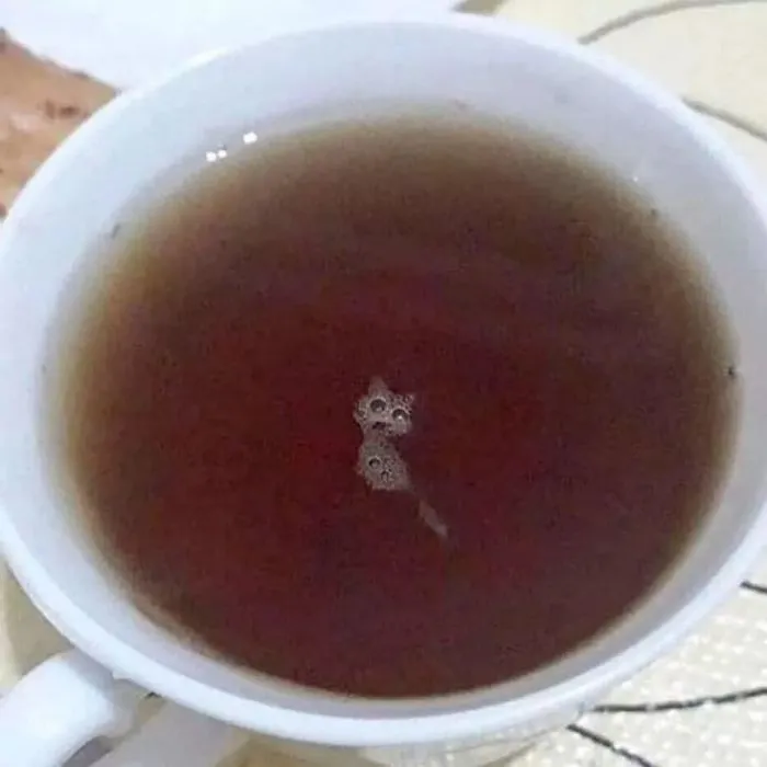 Bubbles That Form A Little Cat Shape