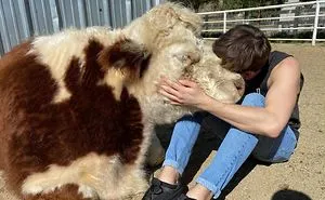 40 Most Wholesome Rescue Pet Photos Of This Month (February Edition)