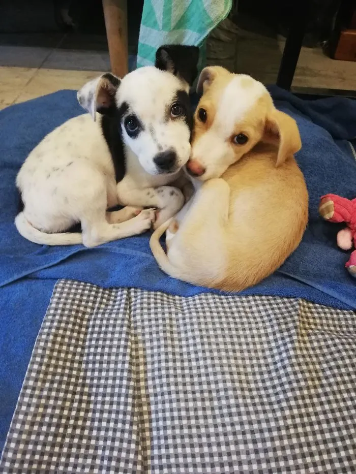 Monty y Tuck