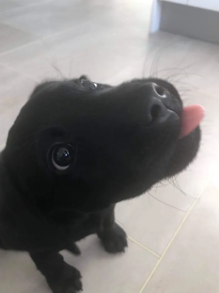 Le gusta sacar la lengua