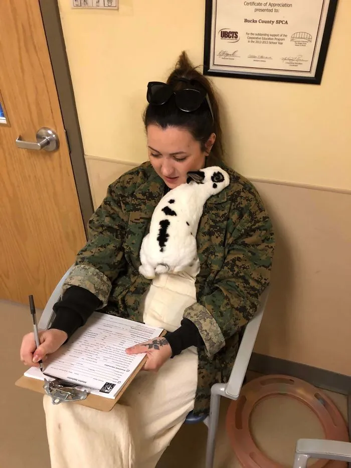 Signing Over The Adoption Papers Today For My New Baby, Moo. Any And All Tips And Advice Are Welcome!