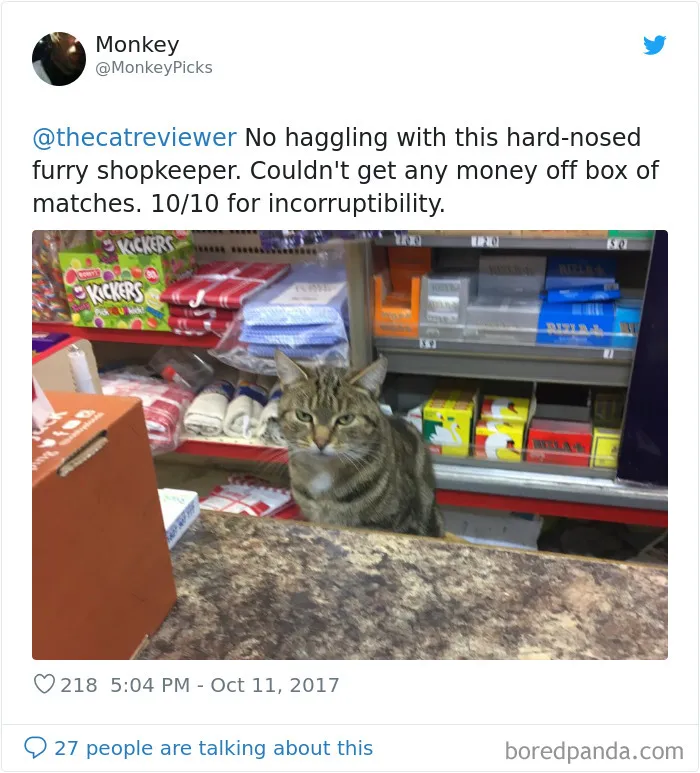 Twitter Account Encourages People To Rate The Cats They Meet On The Streets And It's Purrfect (30 Pics)