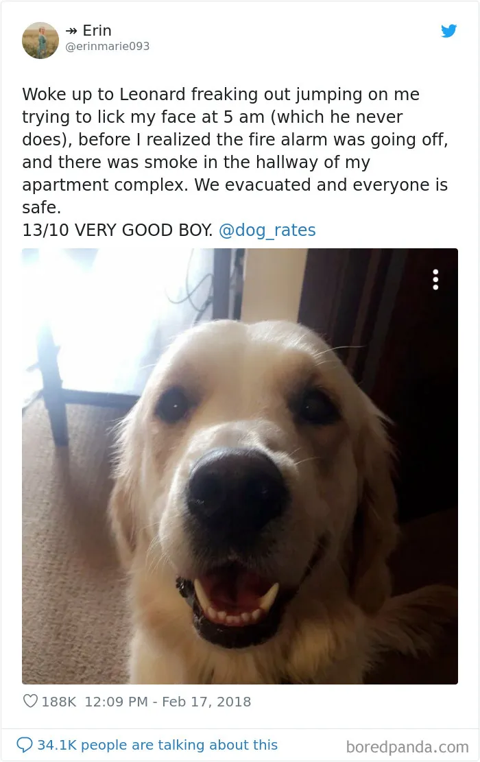The Best Boy