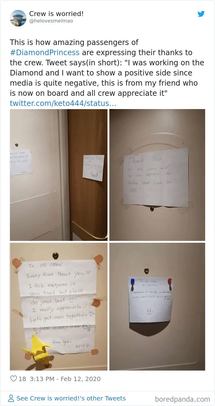 People Quarantined On The "Coronavirus Cruise Ship" Share What It's Really Like (30 Posts)