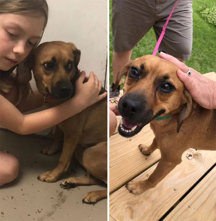 When We Met Her In The Shelter My Daughter Immediately Started Whispering In Her Ear “Your Okay, We’ll Take You Home And Keep You Safe, We Love You Already”