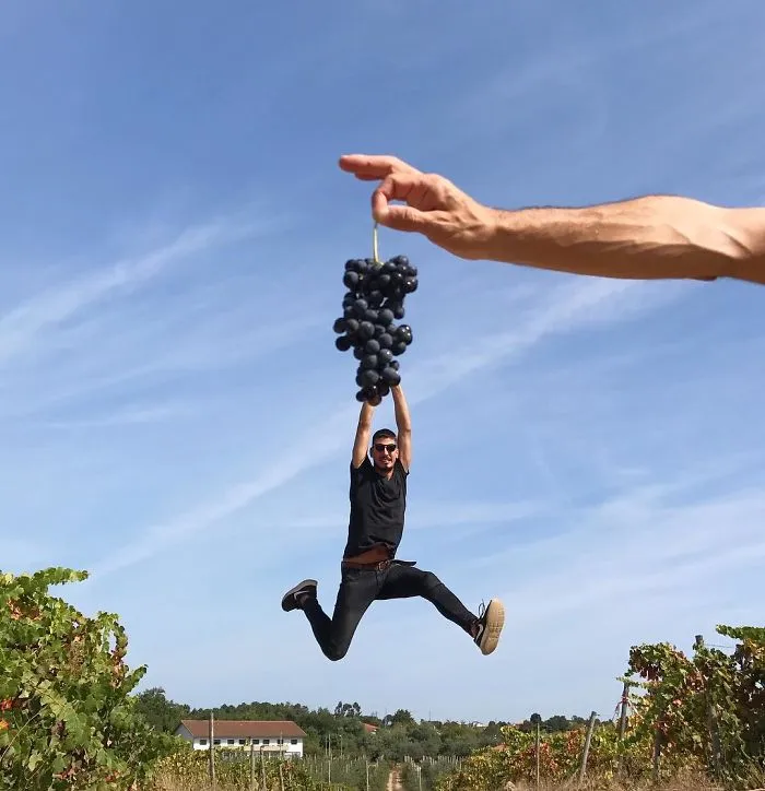 Here Are My 30 Best Optical Illusions That Were Made Without Any Editing Software