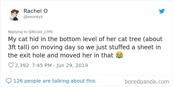 32 Funny Times People Realized How Mean Their Cats Actually Are
