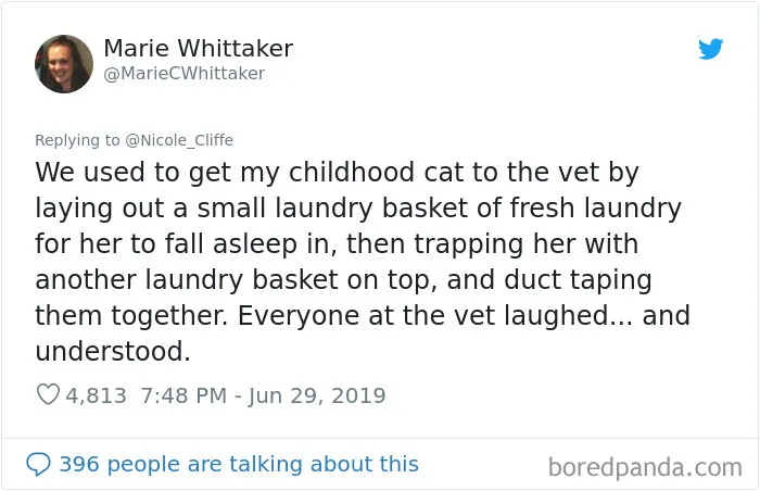 32 Funny Times People Realized How Mean Their Cats Actually Are