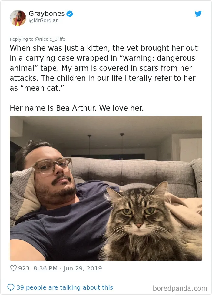 32 Funny Times People Realized How Mean Their Cats Actually Are