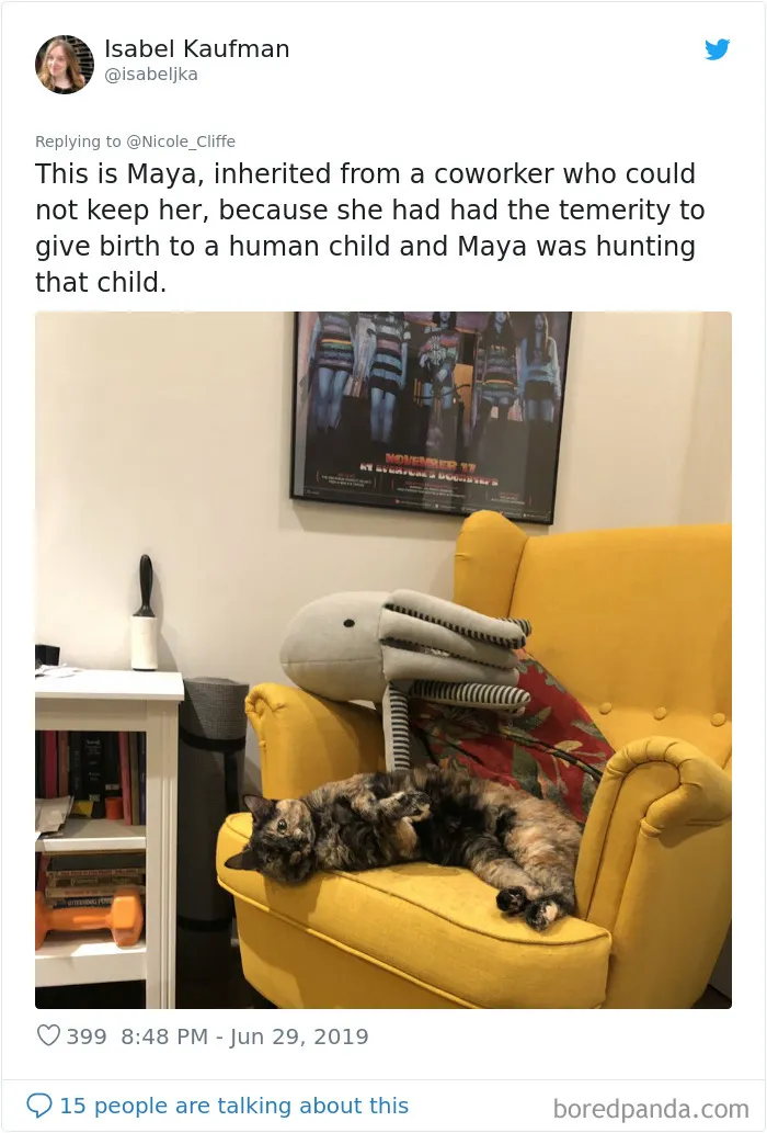 32 Funny Times People Realized How Mean Their Cats Actually Are