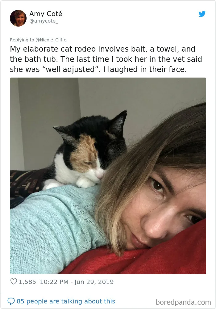 32 Funny Times People Realized How Mean Their Cats Actually Are