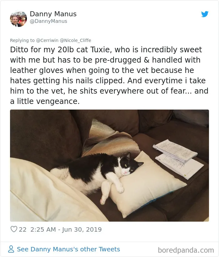 32 Funny Times People Realized How Mean Their Cats Actually Are