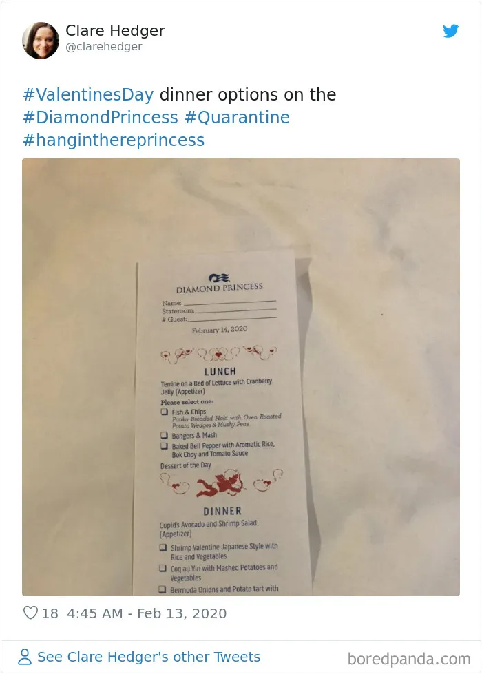 People Quarantined On The "Coronavirus Cruise Ship" Share What It's Really Like (30 Posts)