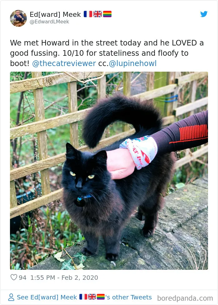 Twitter Account Encourages People To Rate The Cats They Meet On The Streets And It's Purrfect (30 Pics)