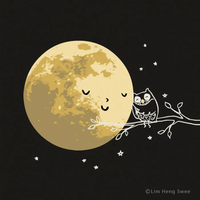 Owl And Moon