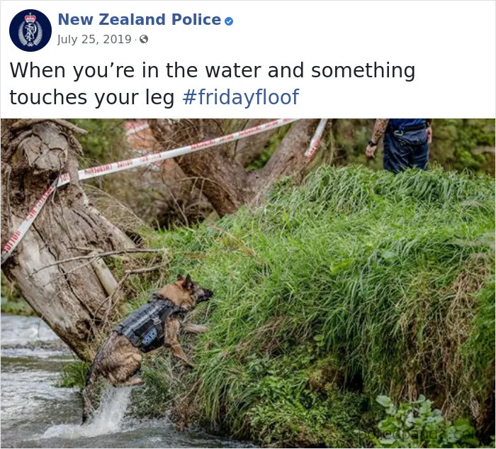 The New Zealand Police Is Winning Over The Internet With Their Adorable And Funny Posts (30 Pics)