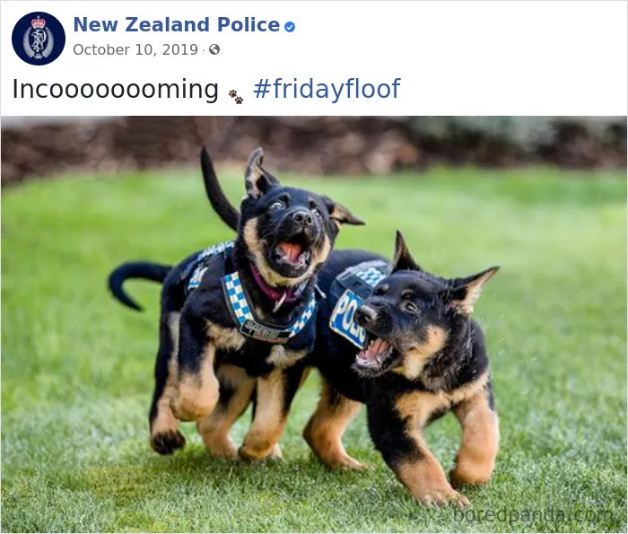 The New Zealand Police Is Winning Over The Internet With Their Adorable And Funny Posts (30 Pics)
