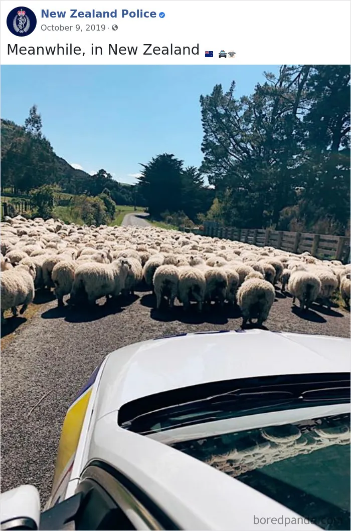 The New Zealand Police Is Winning Over The Internet With Their Adorable And Funny Posts (30 Pics)