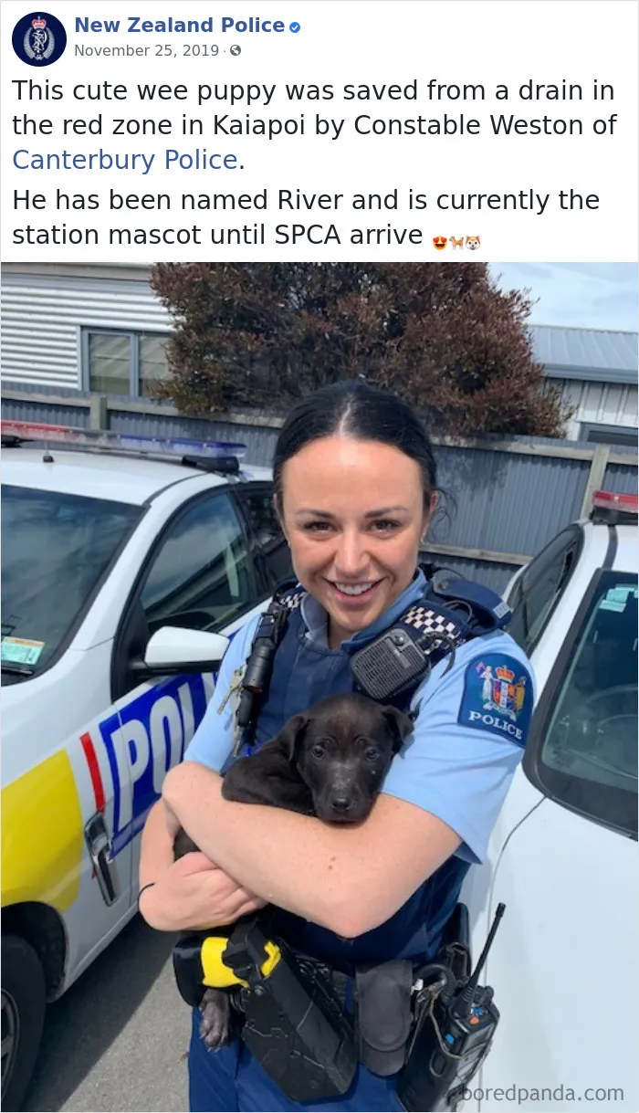 The New Zealand Police Is Winning Over The Internet With Their Adorable And Funny Posts (30 Pics)