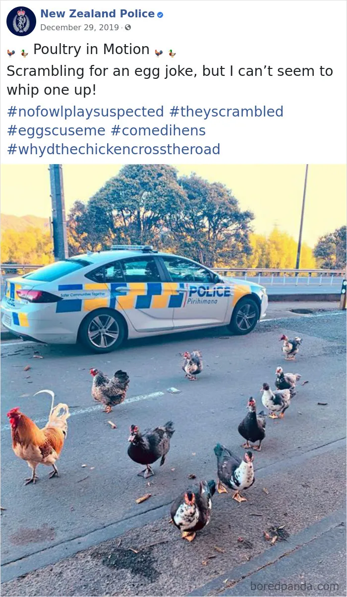 The New Zealand Police Is Winning Over The Internet With Their Adorable And Funny Posts (30 Pics)