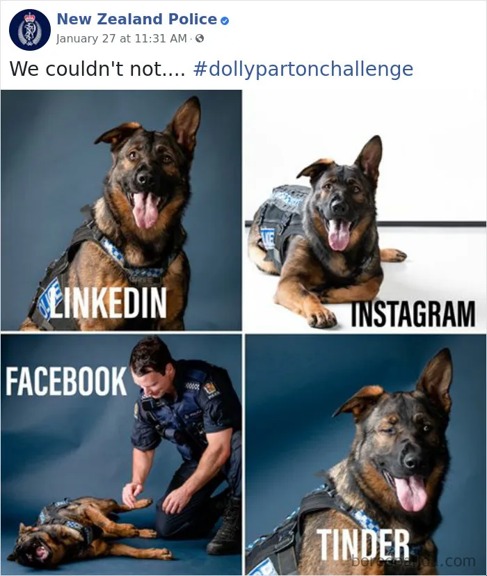 The New Zealand Police Is Winning Over The Internet With Their Adorable And Funny Posts (30 Pics)