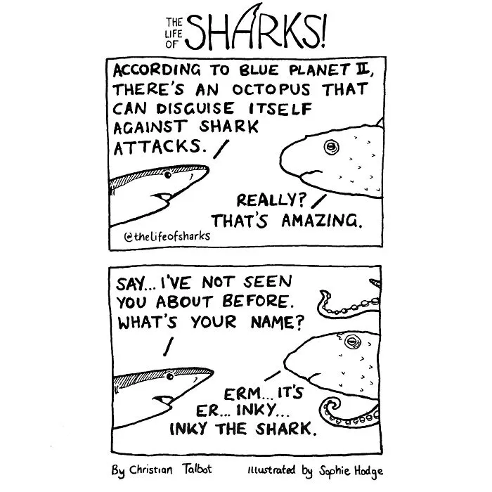 Here Are Our 30 Best Comics That Depict The Snarky Conversations Between Sharks And Other Aquatic Life