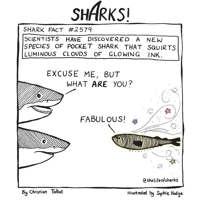 Here Are Our 30 Best Comics That Depict The Snarky Conversations Between Sharks And Other Aquatic Life