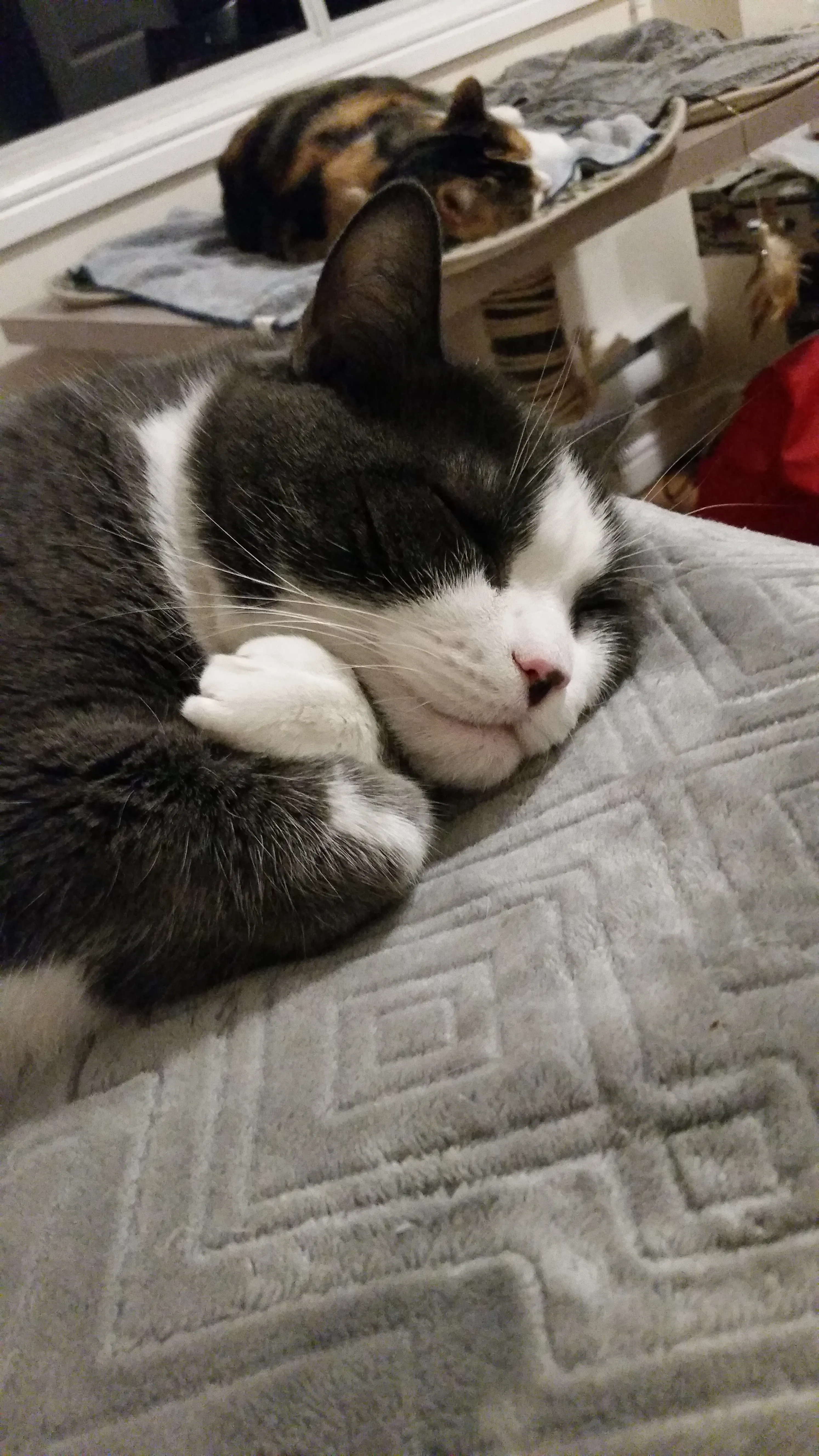 Now I Lay Me Down To Sleep. ..