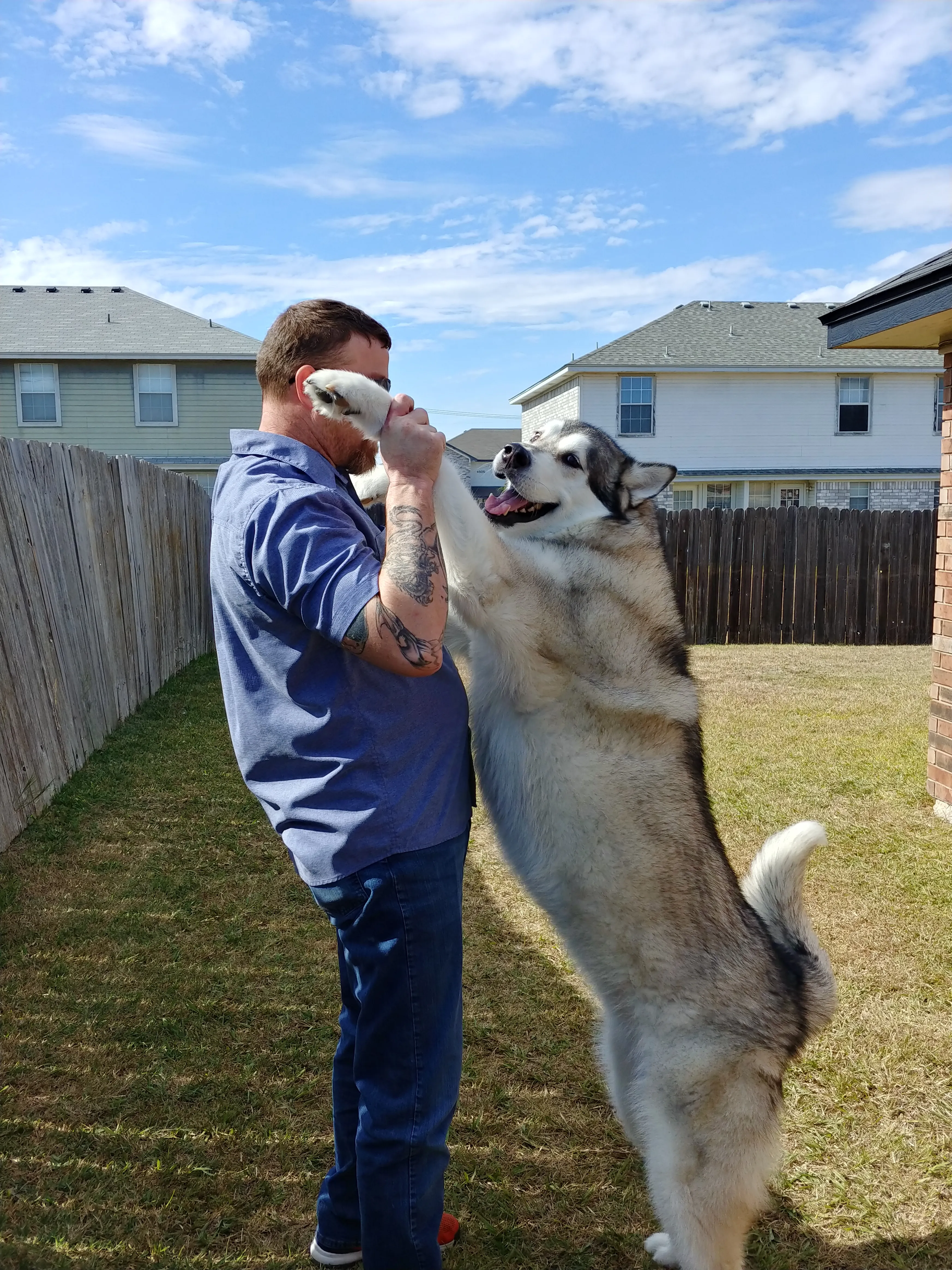 My Big Pup Wanta To Play