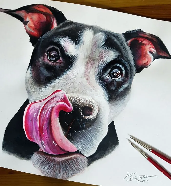 Pitbull