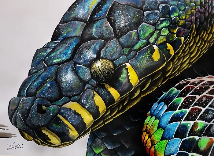 Boelen's Python