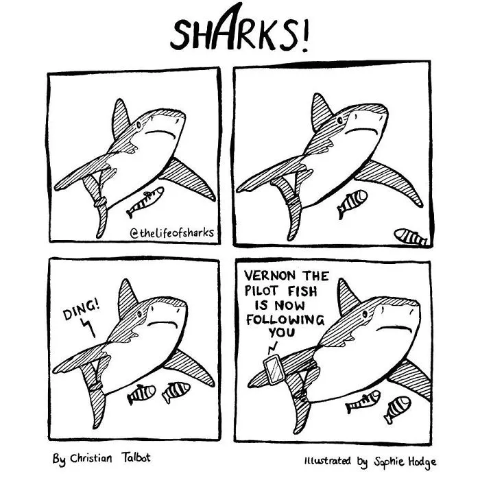 Here Are Our 30 Best Comics That Depict The Snarky Conversations Between Sharks And Other Aquatic Life