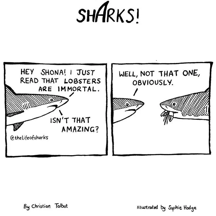 Here Are Our 30 Best Comics That Depict The Snarky Conversations Between Sharks And Other Aquatic Life