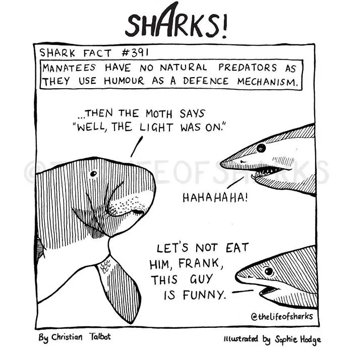 Here Are Our 30 Best Comics That Depict The Snarky Conversations Between Sharks And Other Aquatic Life
