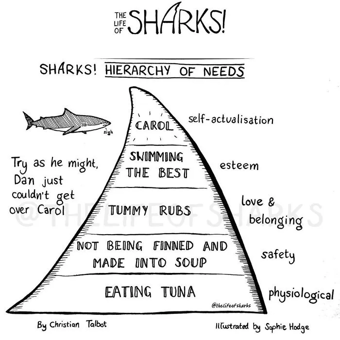 Here Are Our 30 Best Comics That Depict The Snarky Conversations Between Sharks And Other Aquatic Life
