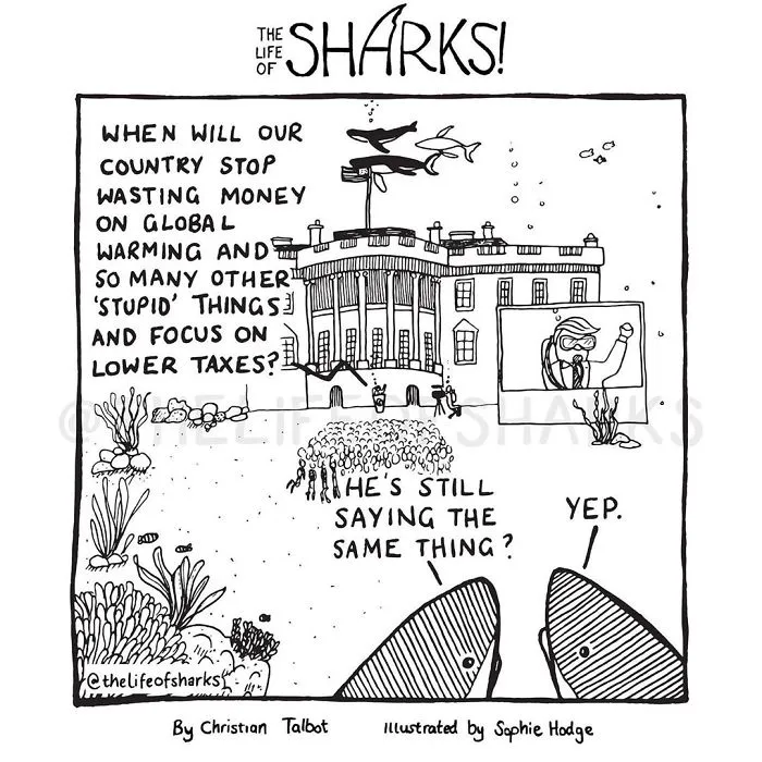 Here Are Our 30 Best Comics That Depict The Snarky Conversations Between Sharks And Other Aquatic Life