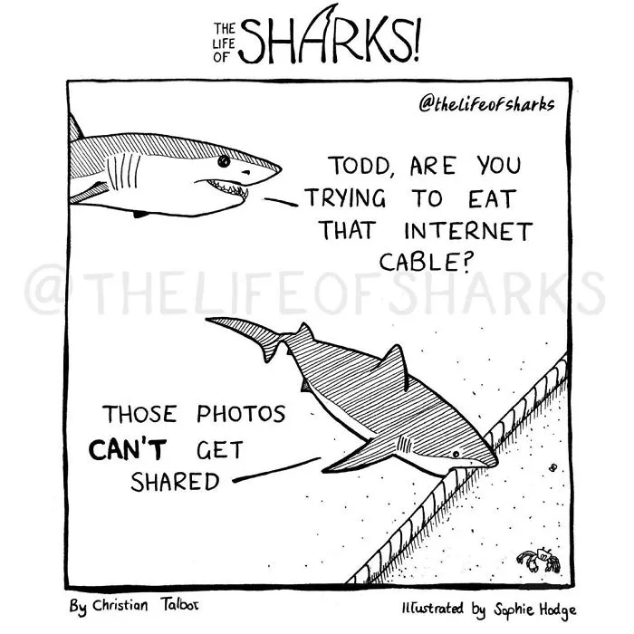 Here Are Our 30 Best Comics That Depict The Snarky Conversations Between Sharks And Other Aquatic Life