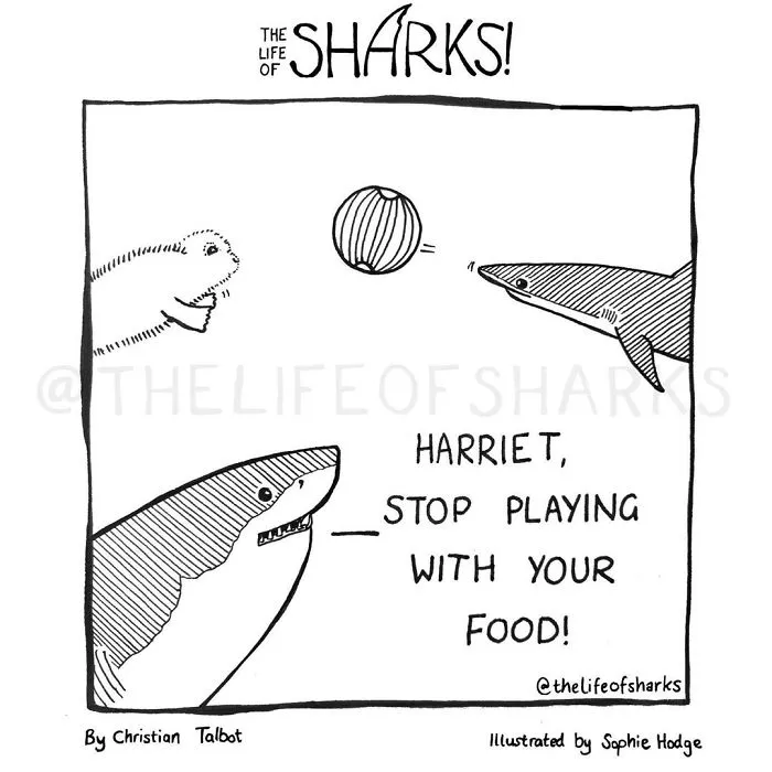 Here Are Our 30 Best Comics That Depict The Snarky Conversations Between Sharks And Other Aquatic Life