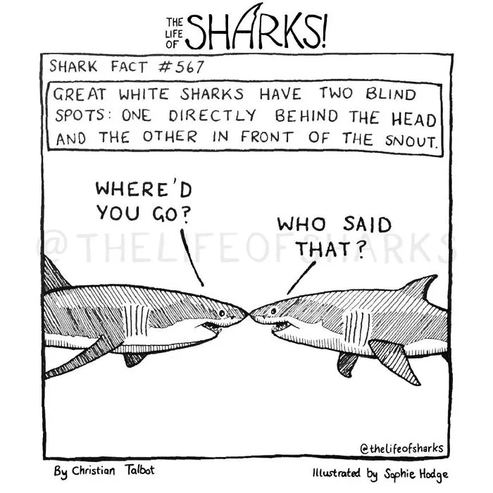 Here Are Our 30 Best Comics That Depict The Snarky Conversations Between Sharks And Other Aquatic Life