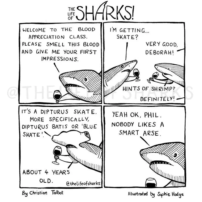 Here Are Our 30 Best Comics That Depict The Snarky Conversations Between Sharks And Other Aquatic Life
