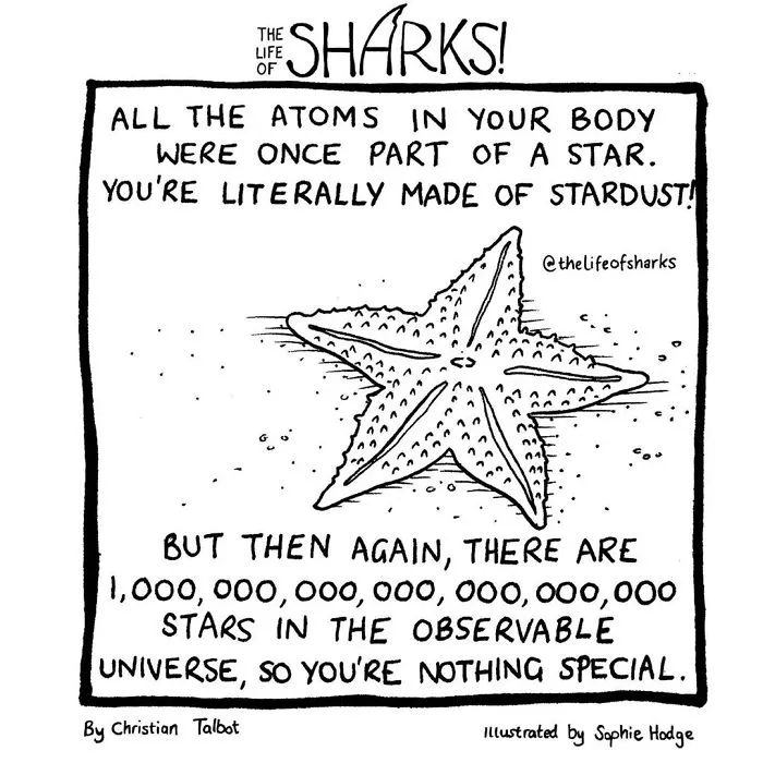 25 Comics We Made That Put Funny Words Into The Mouths Of Big Fish: The Life Of Sharks