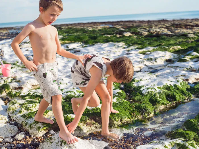 Rock Pools
