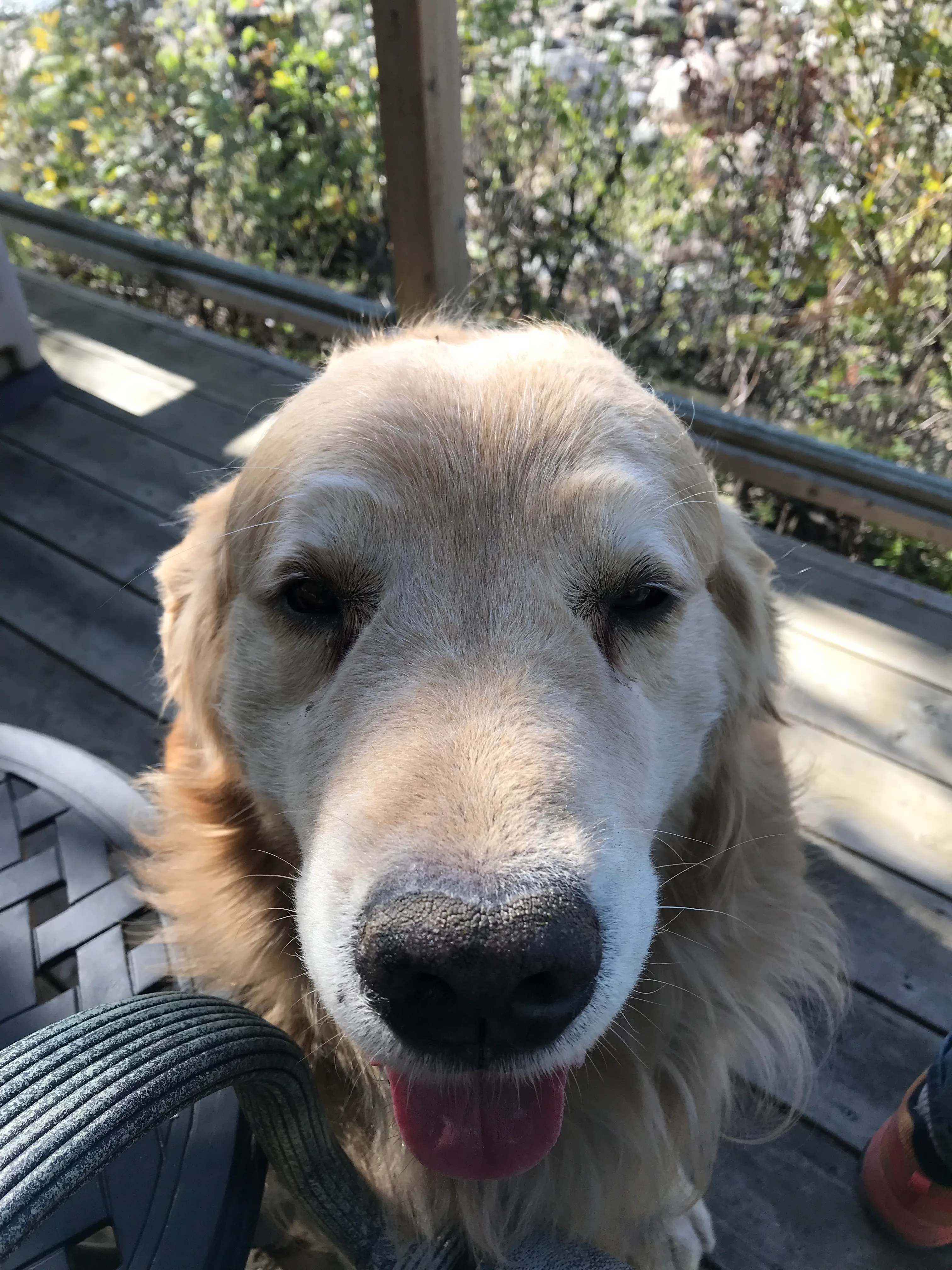 Hard Day At The Lake