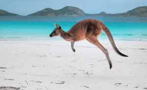 16 Amazing Places In Western Australia