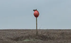 Strange Places