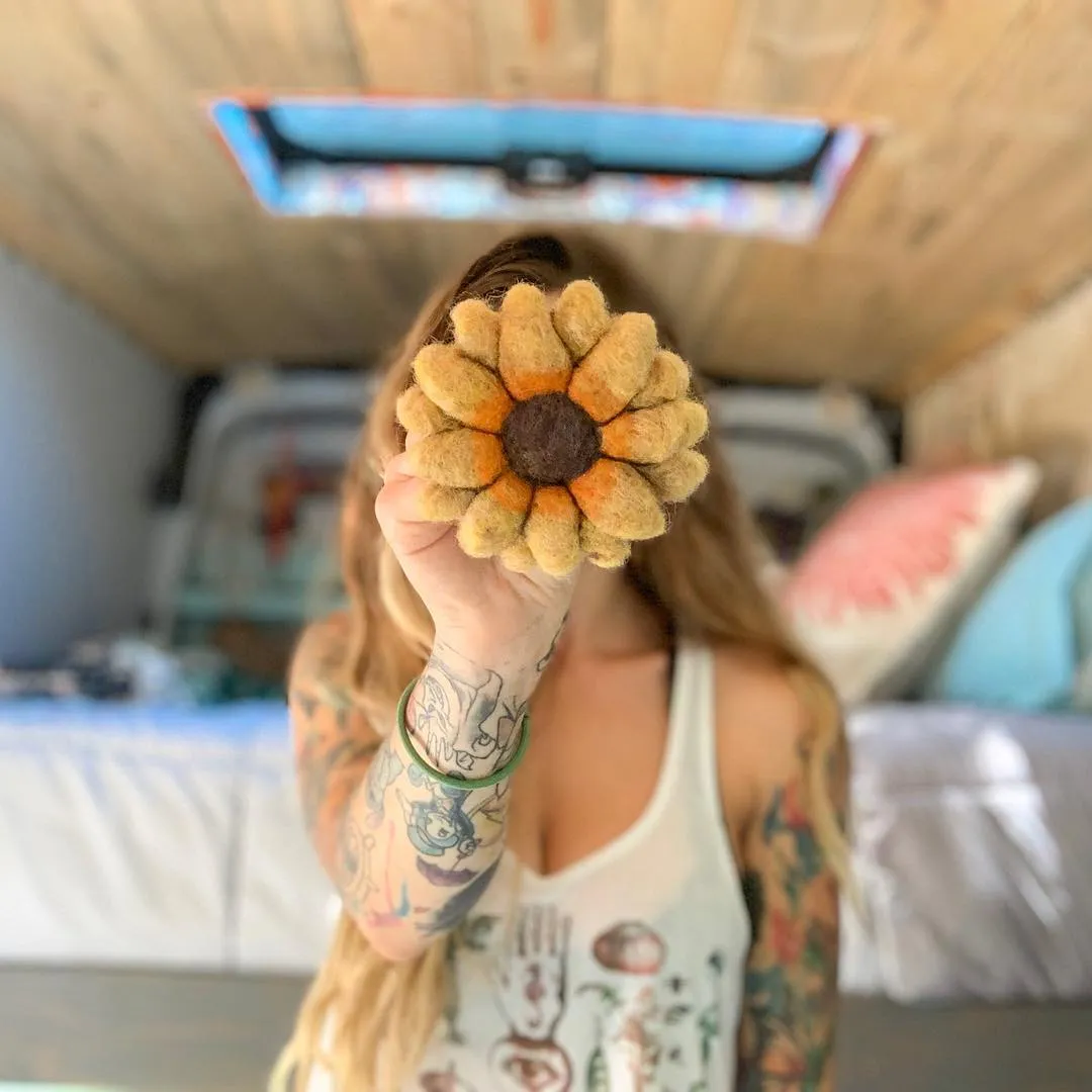 Solo Female Traveler & Wvu Grad Sells Everything To Travel The Country