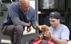 This Man Is A Veterinarian Who Walks Around California And Treats Homeless People's Animals For Free