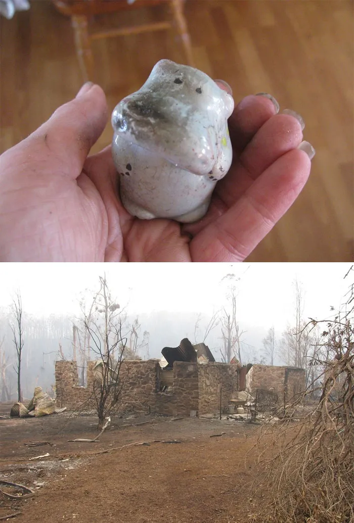 I Am One Of The Many Hundreds Of People Who Have Lost Their Homes In The Australian Bushfires