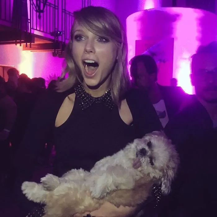 Meet Marnie, An 18 Y.O. Instagram Dog-Star With Almost 2 Million Followers And Friends Like Taylor Swift And Demi Lovato