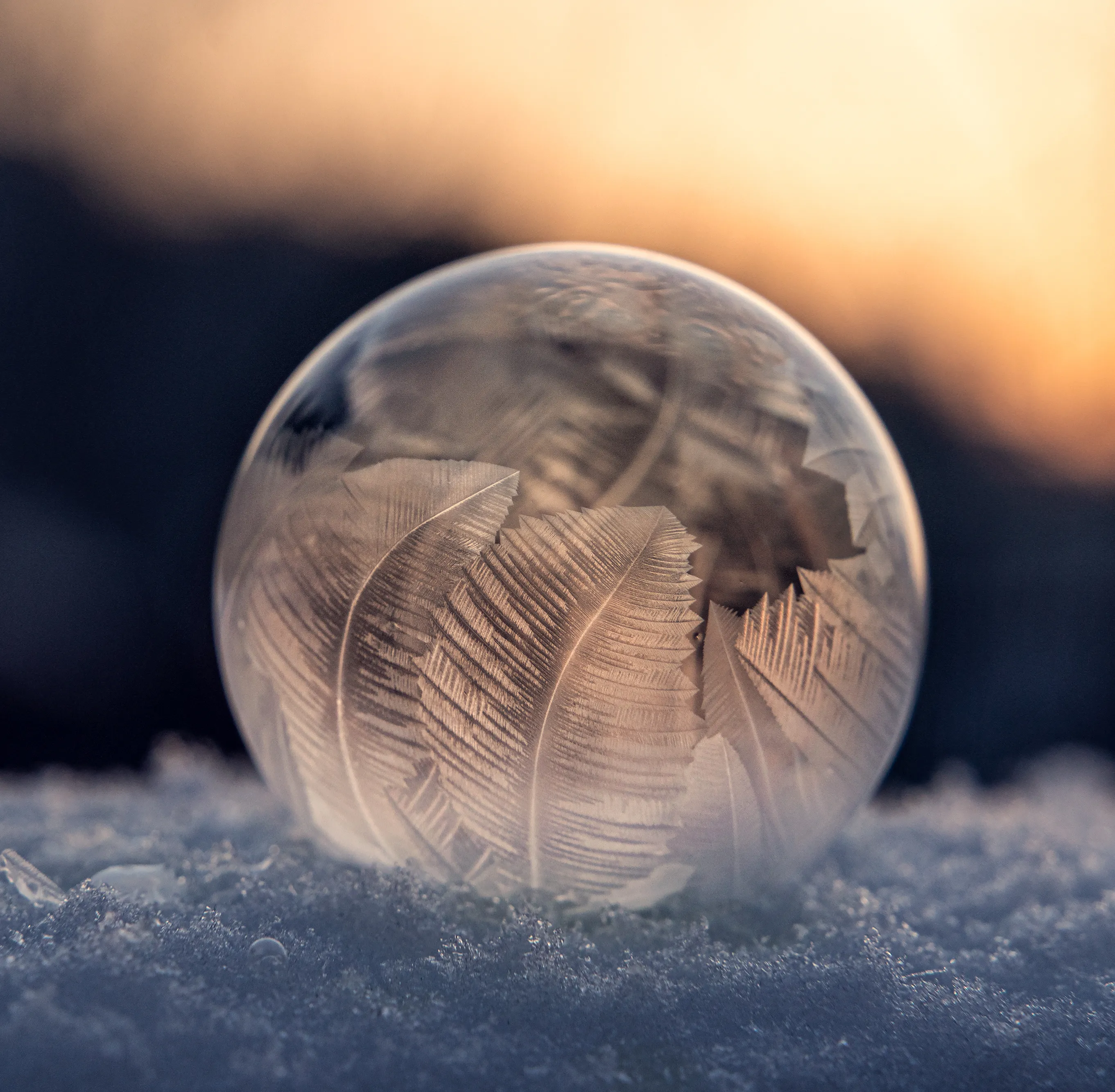 Amazing Frozen Soap Bubble